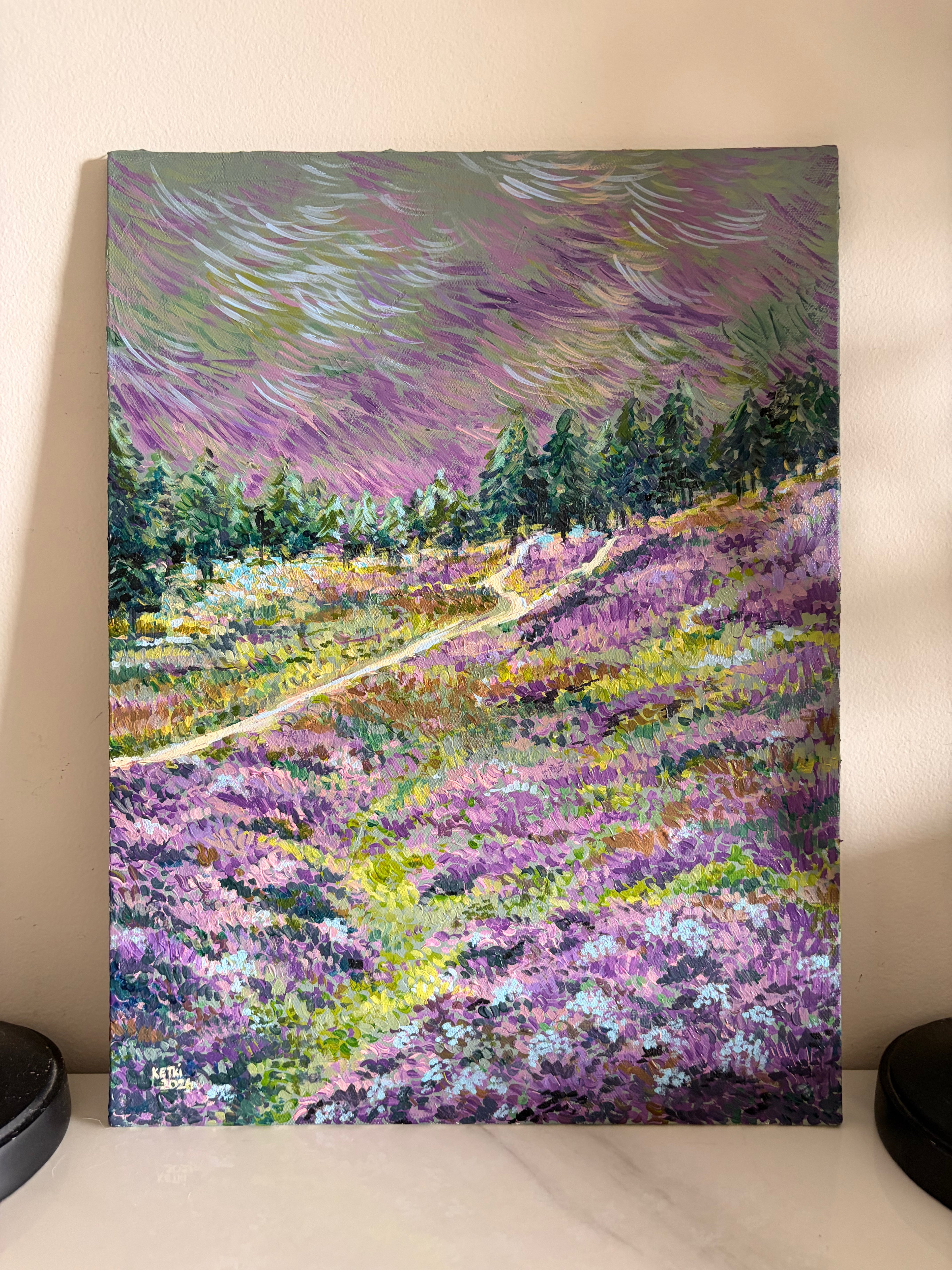 Stormy meadow