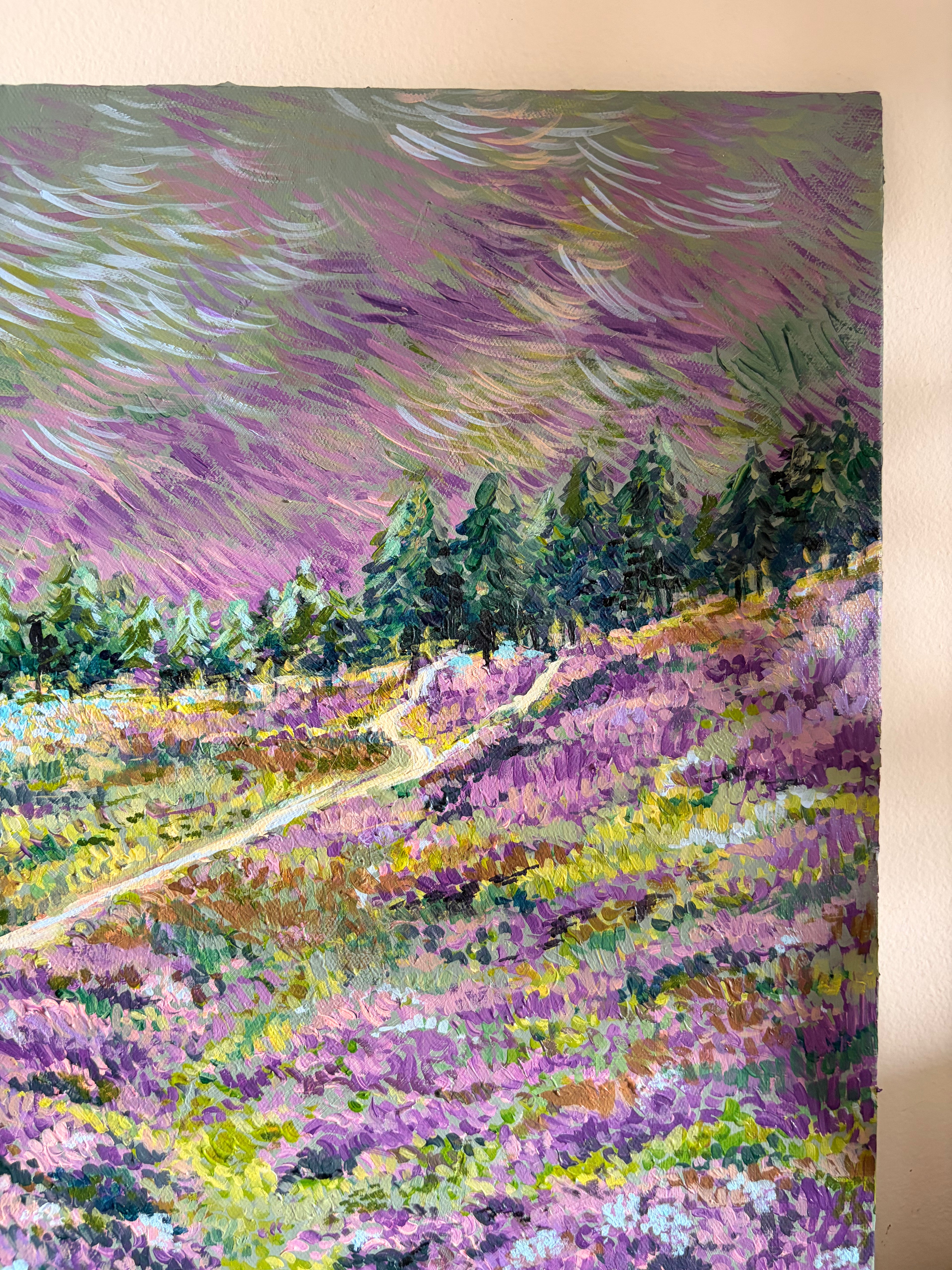 Stormy meadow